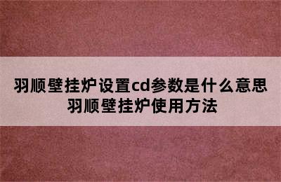 羽顺壁挂炉设置cd参数是什么意思 羽顺壁挂炉使用方法